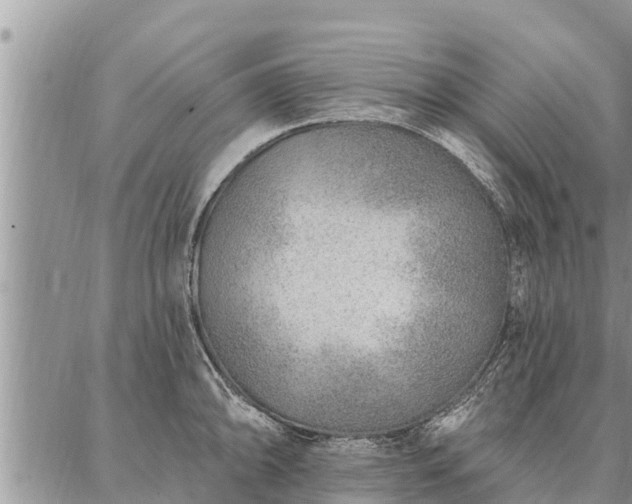 X0000086931094200704231324