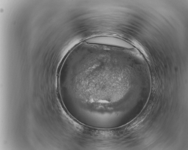 X0000086931095200704231324