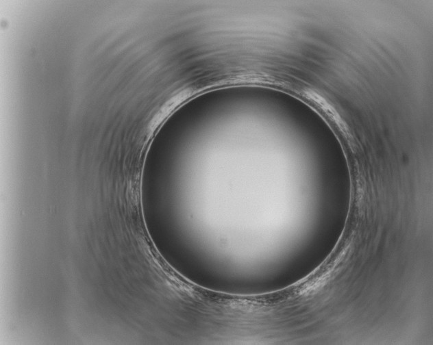 X0000086931097200704231324