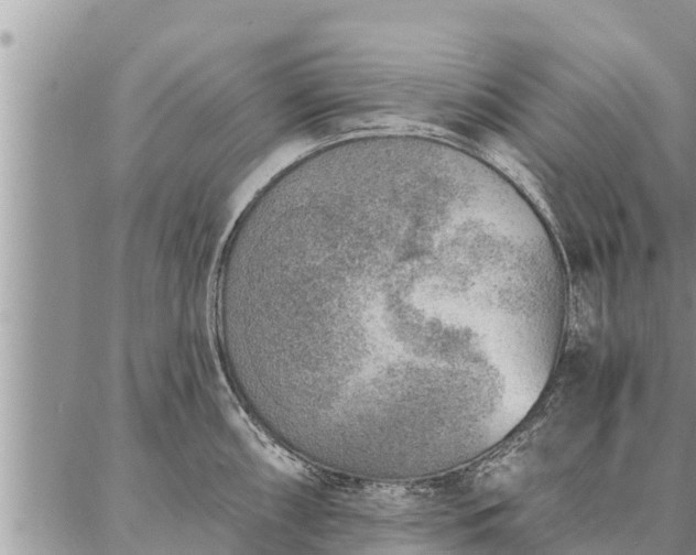 X0000086931098200704231324