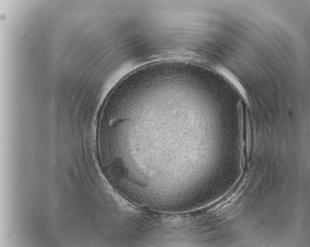 X0000086931099200704231324