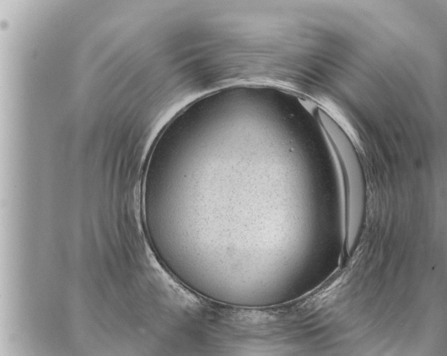 X0000086931100200704231324