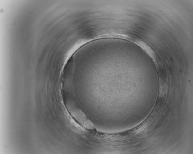 X0000086931102200704231324