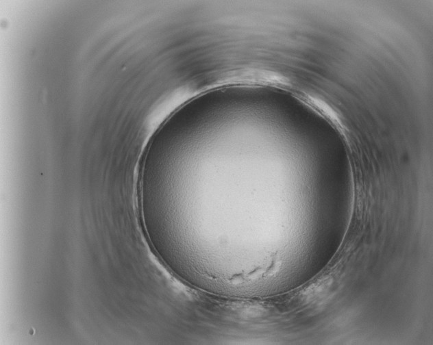 X0000086931103200704231324