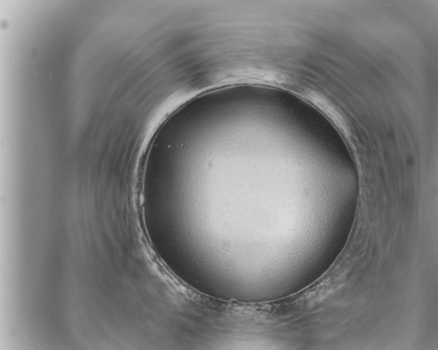 X0000086931104200704231324