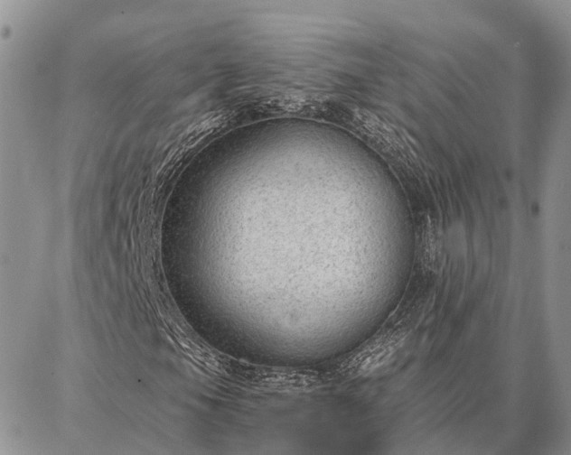 X0000086931105200704231323