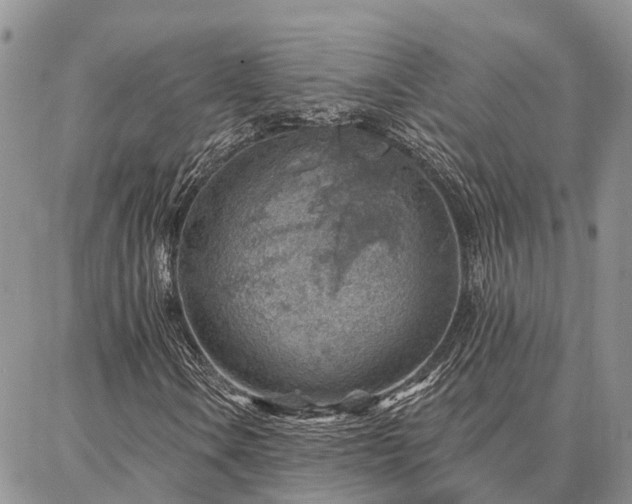 X0000086931106200704231323