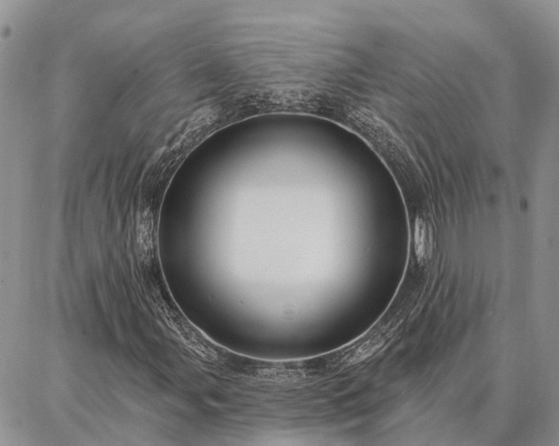 X0000086931107200704231323