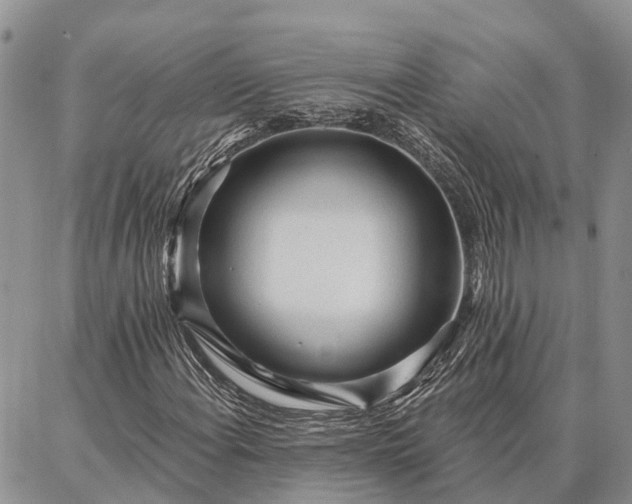 X0000086931108200704231323