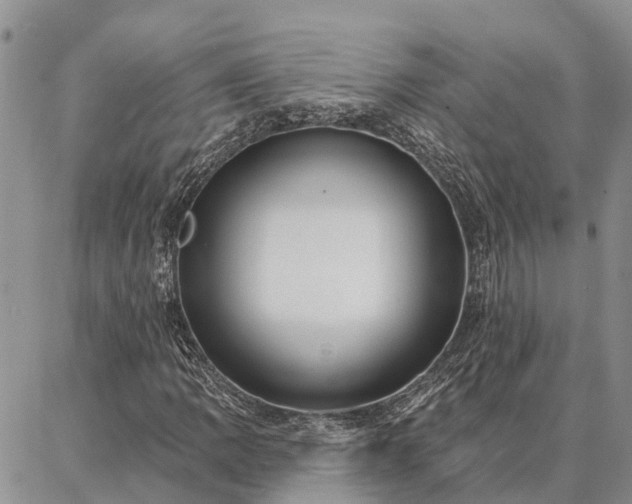 X0000086931109200704231323