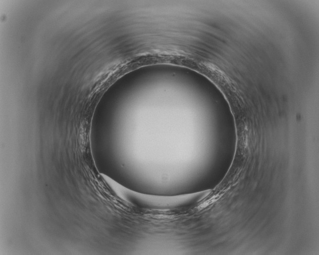 X0000086931110200704231323