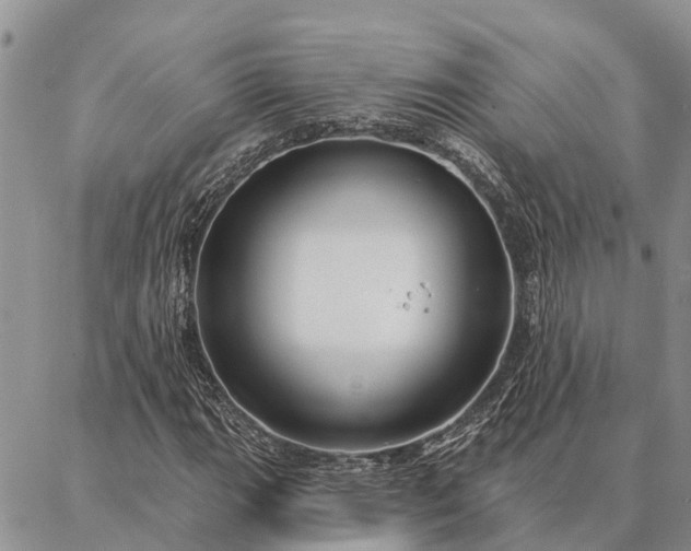 X0000086931111200704231323