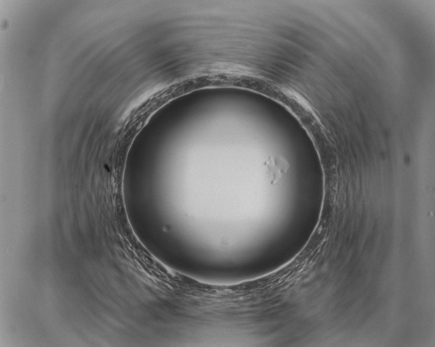 X0000086931112200704231323