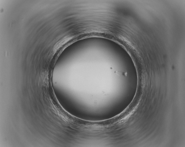 X0000086931113200704231323