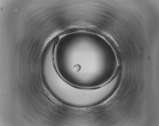 X0000086931114200704231323