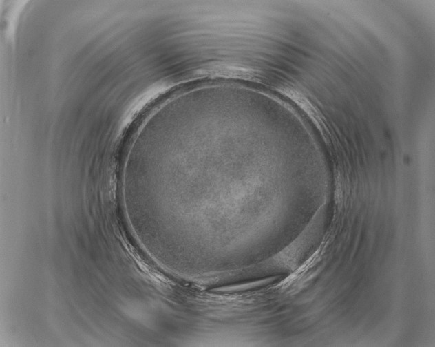 X0000086931115200704231323