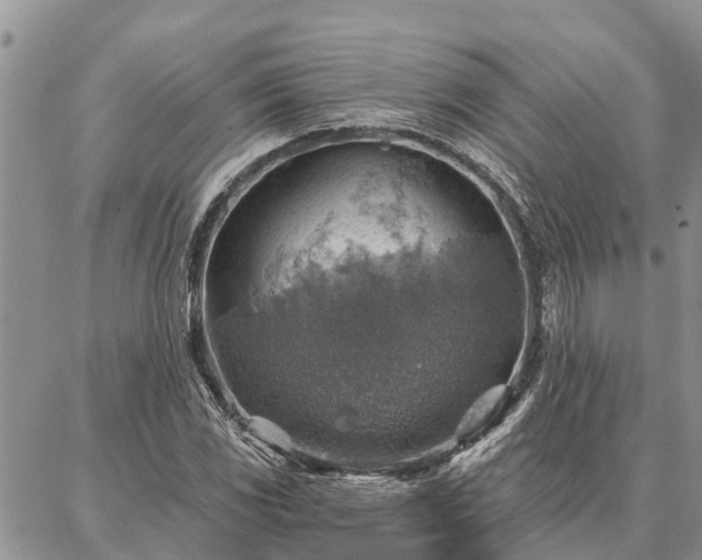 X0000086931117200704231323