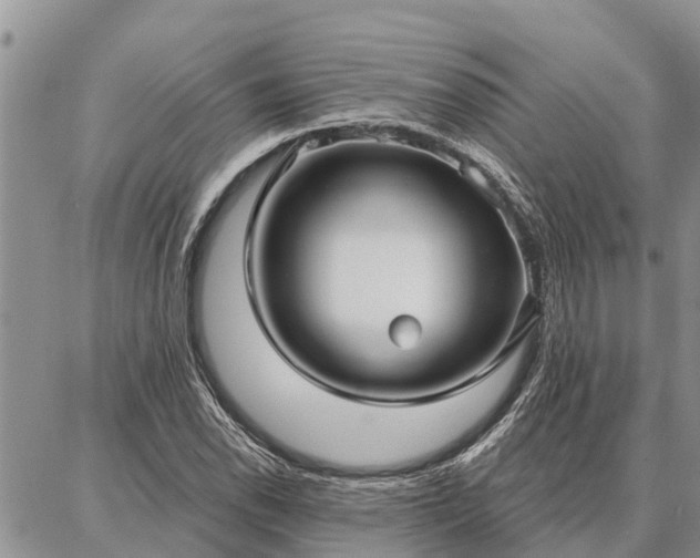 X0000086931118200704231323