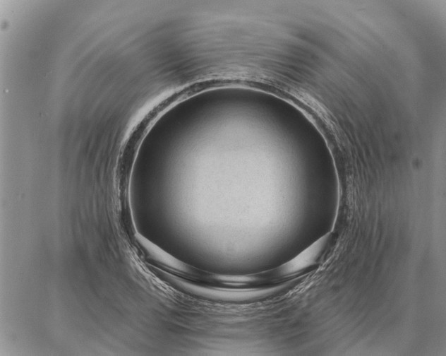 X0000086931120200704231323