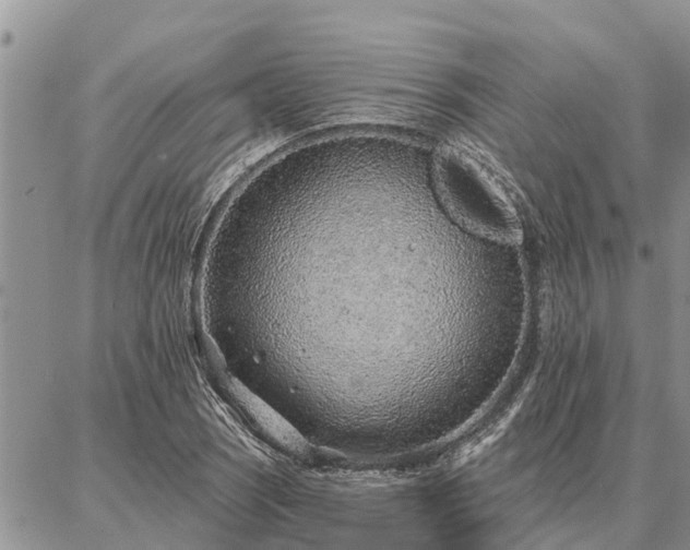 X0000086931121200704231323