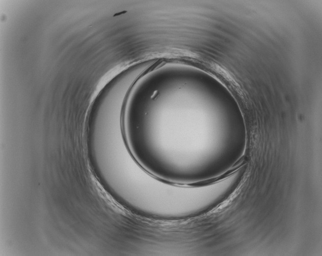 X0000086931122200704231323