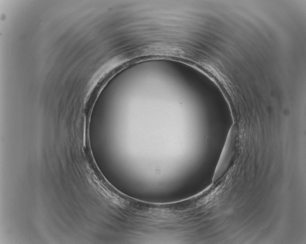 X0000086931123200704231323