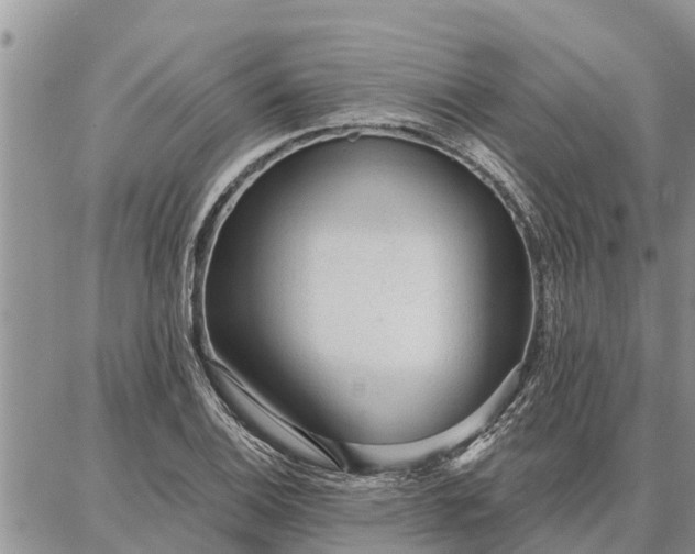 X0000086931124200704231323