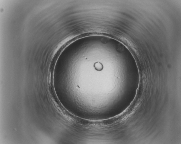 X0000086931125200704231323