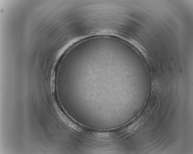 X0000086931126200704231323