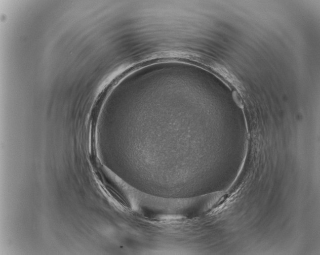 X0000086931127200704231323