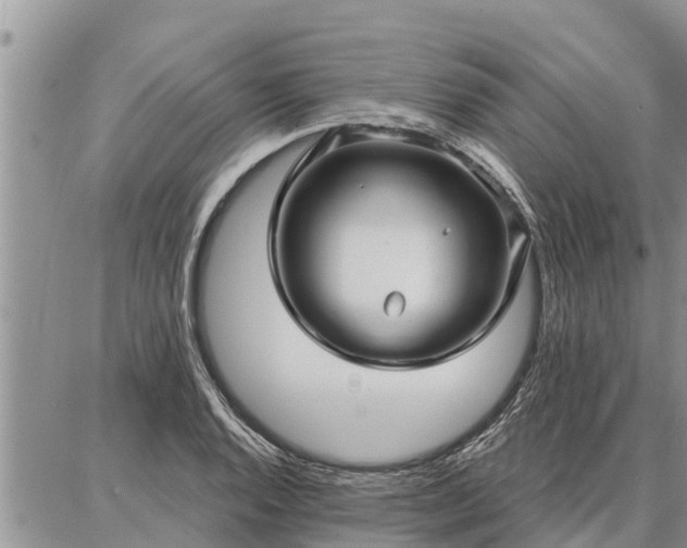 X0000086931128200704231323