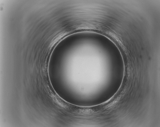 X0000086931129200704231324