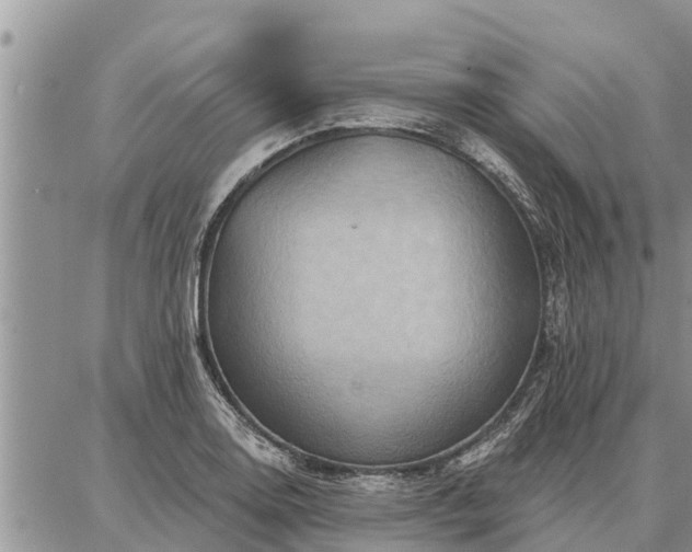 X0000086931130200704231324