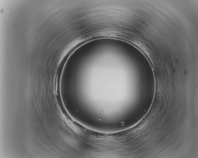 X0000086931131200704231324