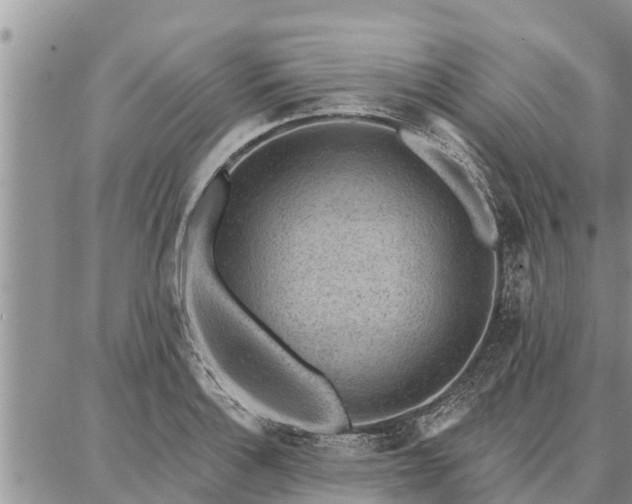 X0000086931132200704231324