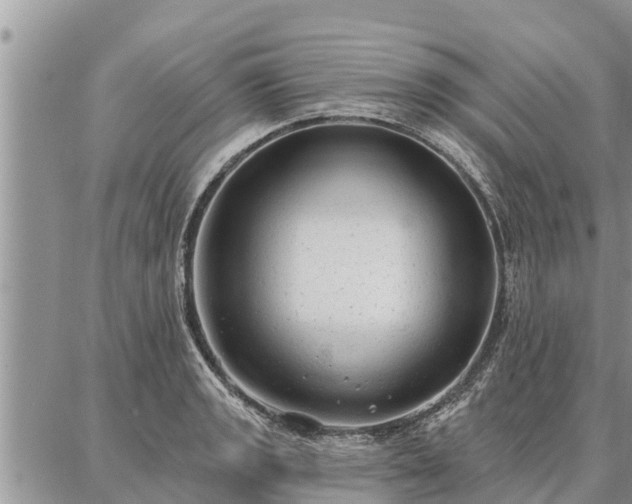 X0000086931133200704231324