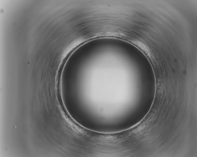 X0000086931135200704231324