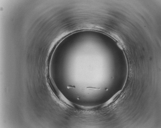 X0000086931136200704231324