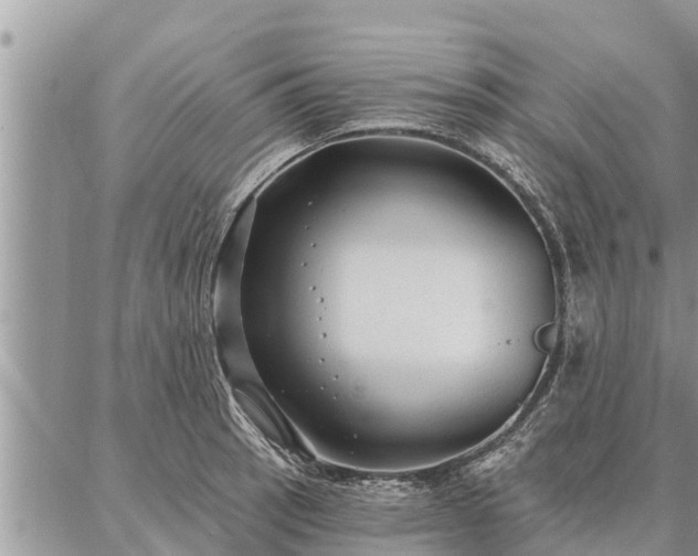 X0000086931137200704231324