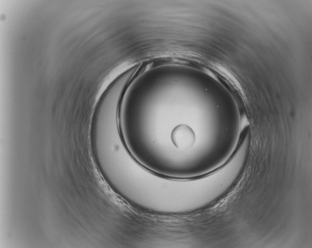 X0000086931138200704231324