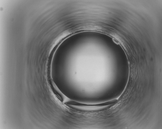 X0000086931139200704231324