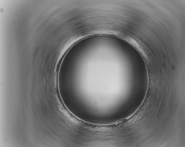 X0000086931140200704231324