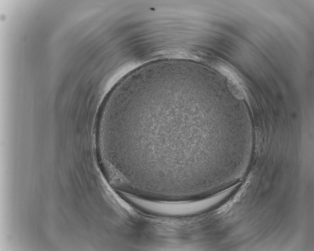 X0000086931141200704231324