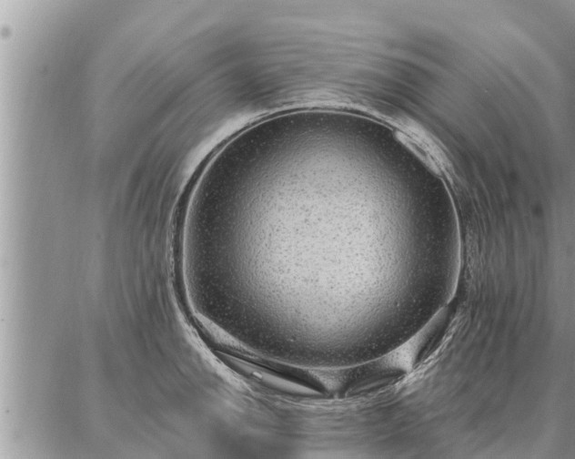 X0000086931142200704231324