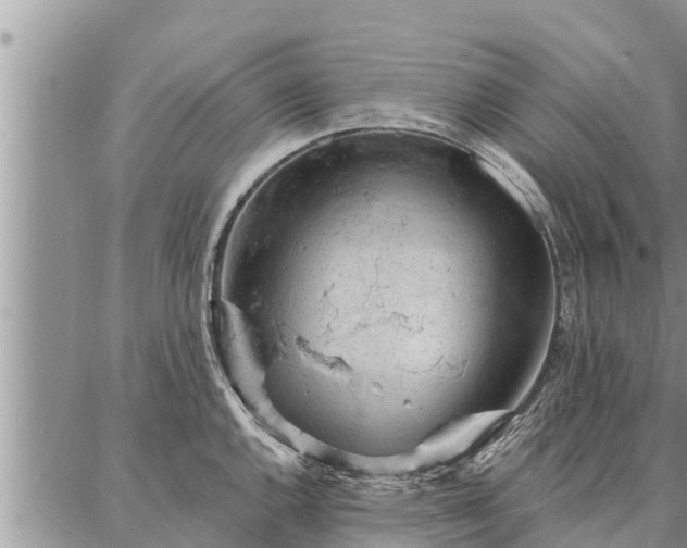 X0000086931144200704231324