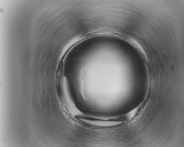 X0000086931146200704231324