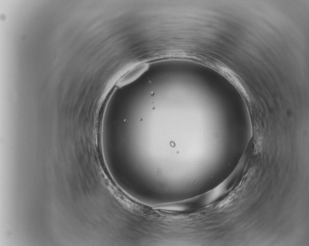 X0000086931148200704231324