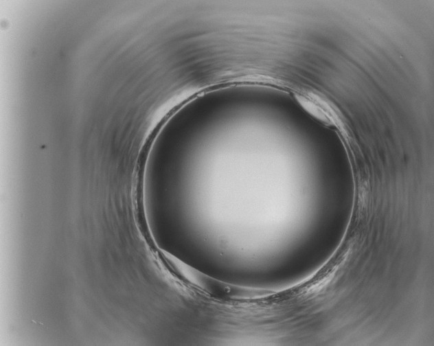 X0000086931149200704231324