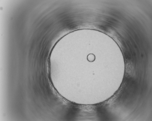 X0000086931150200704231324