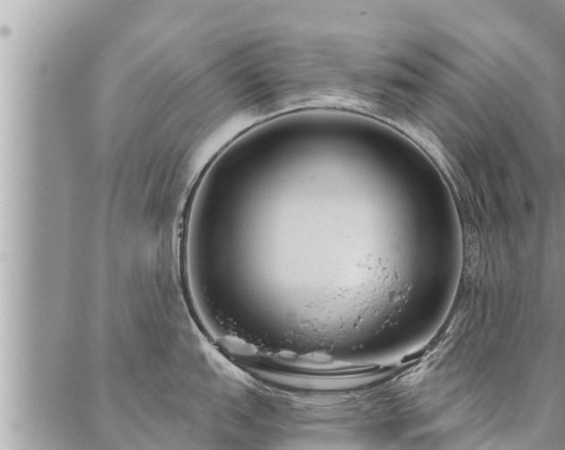 X0000086931151200704231324